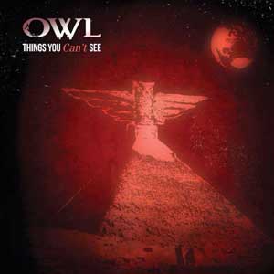 Owl Things You Can't See album cover