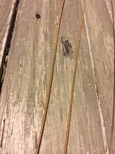 Two worn guitar strings rest on a light wood surface stained by age.