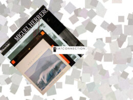 How to Backup Your Record Collection