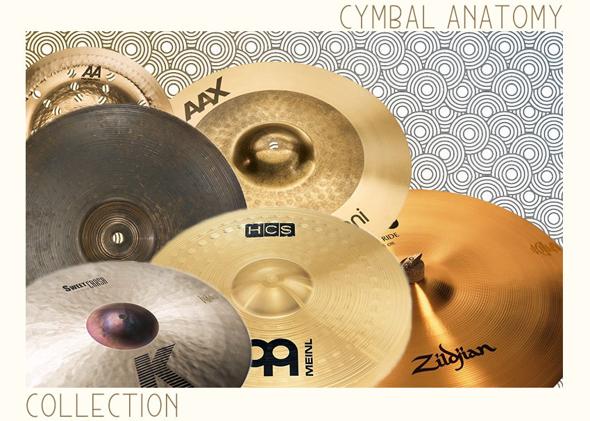 Cymbal Anatomy Collection