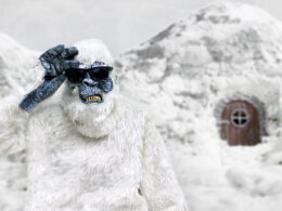 Tom Yeti's Christmas Recap