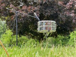 A snare drum-shaped outdoor decoration mounted on a pole in a grassy field with flowering trees.