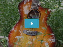 Breedlove ECO Collection